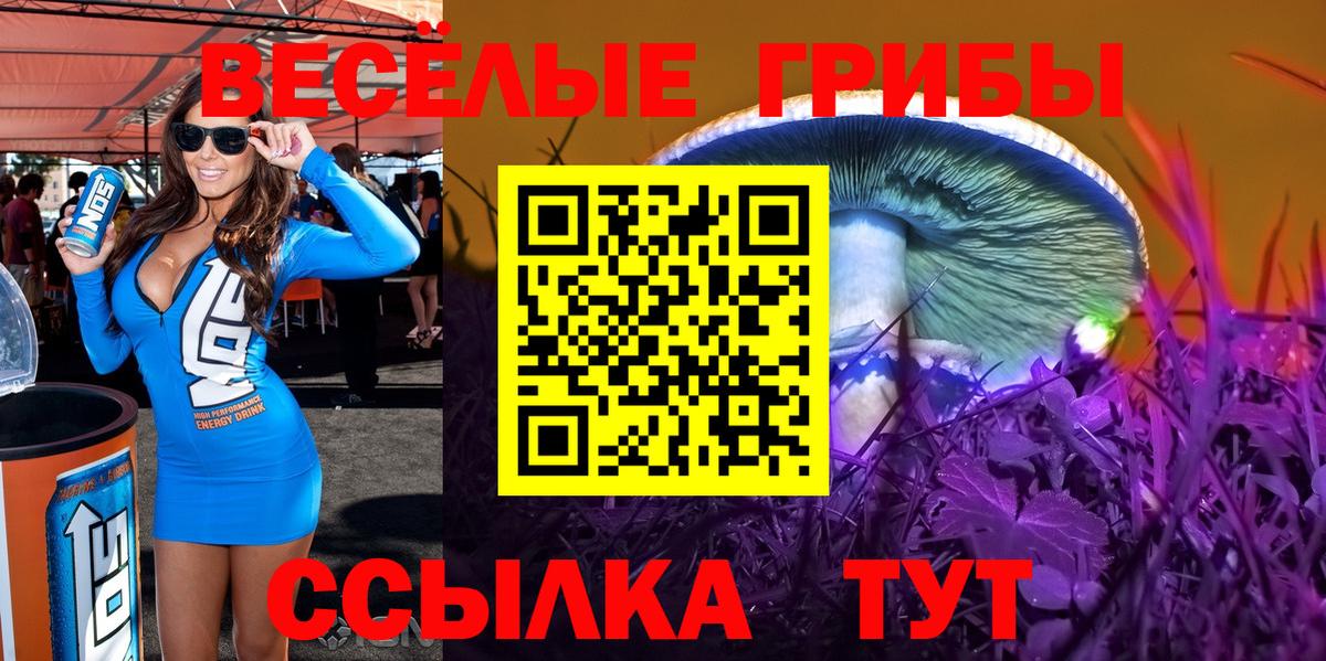 Псилоцибиновые грибы прущие грибы Кувандык