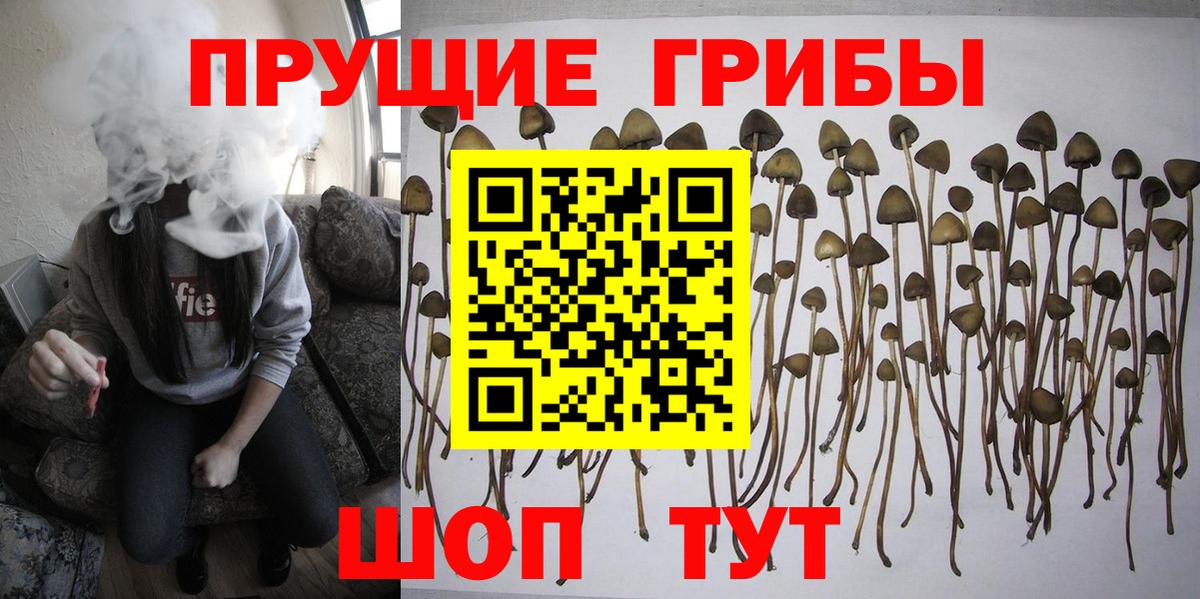 Галлюциногенные грибы мицелий  Псилоцибиновые грибы ЛСД  Кувандык  купить   Вход с VPN 